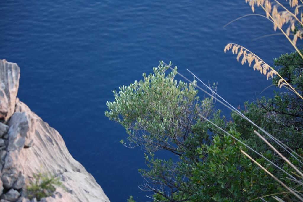 B&B Calandrella Maratea Dış mekan fotoğraf