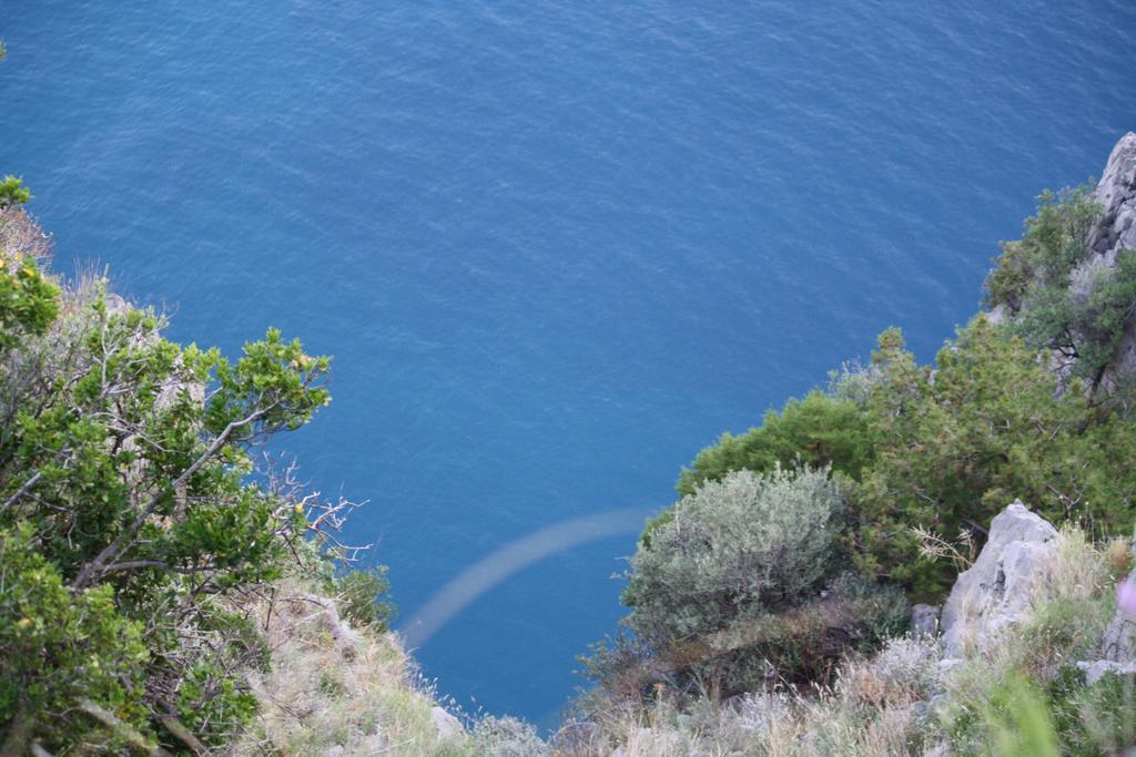 B&B Calandrella Maratea Dış mekan fotoğraf