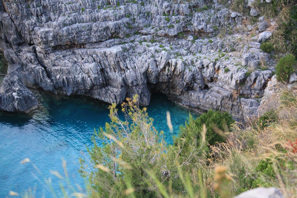 B&B Calandrella Maratea Dış mekan fotoğraf