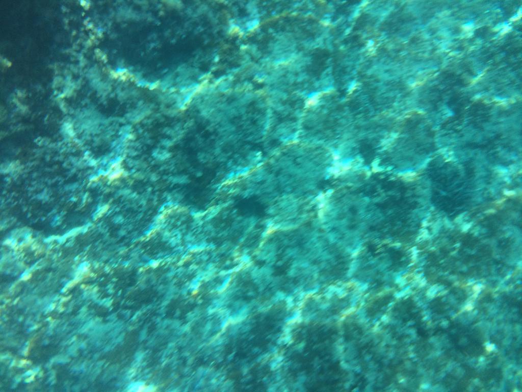 B&B Calandrella Maratea Dış mekan fotoğraf