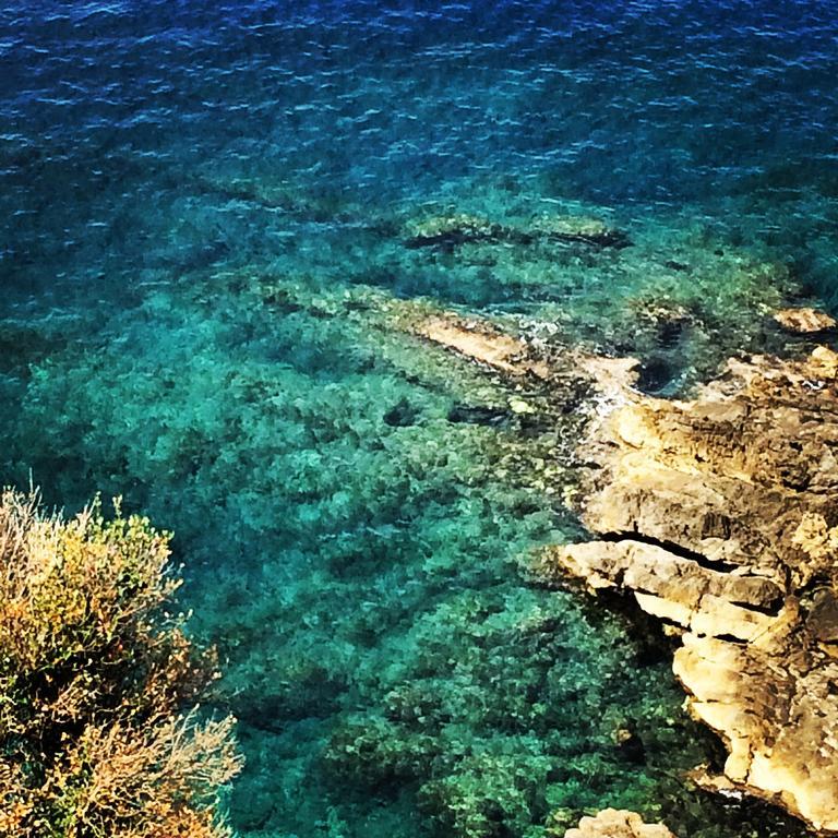 B&B Calandrella Maratea Dış mekan fotoğraf