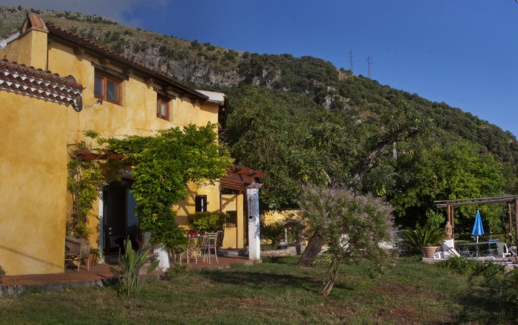 B&B Calandrella Maratea Dış mekan fotoğraf