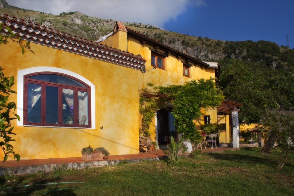 B&B Calandrella Maratea Oda fotoğraf