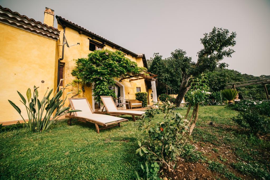 B&B Calandrella Maratea Dış mekan fotoğraf